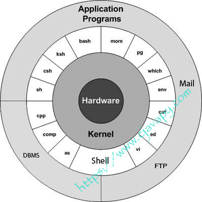 httpswwwcjavapycom